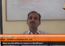 What are the different careers in WordPress? (Founder – AmiWorks Solutions Pvt. Ltd.)